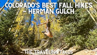 Hiking Herman Gulch  The Traveling Tacos  Fall Leaf Peeping in Dillon Colorado [upl. by Brockwell976]