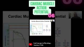 Cardiac Muscle Action Potential  Part6 shorts youtubeshorts youtube ytshorts [upl. by Rozella403]