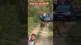 Pilibhit tiger reserve safari 8923293506 [upl. by Midas]