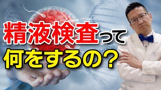 【精液検査とは？】男性不妊！？精液検査の概要と行ったほうが良いかたを解説します。 [upl. by Kerrin818]