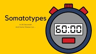 Somatotypes in 60 seconds [upl. by Feld512]