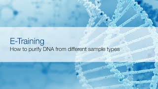 Sample preparation for nucleic acid extraction [upl. by Rosalba]