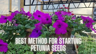 Get Ready for Spring Mastering Starting Petunia Seeds [upl. by Teemus]