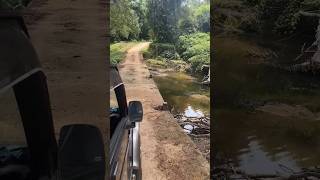 Wasgamuwa Wild Safari 🐘😂 wildsrilanka youtubeshorts nature [upl. by Sacken]