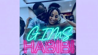 GIMS  HABIBI Prod Shei Beats [upl. by Adnov]