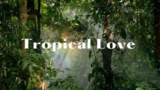 Tropical Love  Music  No Copyright Music shuvamdey [upl. by Ermengarde]