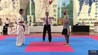 Full contact Karate Fight and a Knockout in 30 Secs Winner is Hamid Zandi [upl. by Hescock498]