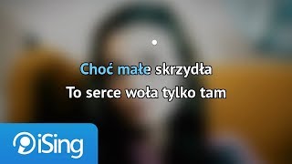 AniKa Dąbrowska – Małe Skrzydła karaoke iSing [upl. by Annwahsal]