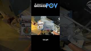 Grower POV Saturating Trays for Clones shorts [upl. by Ellynn]