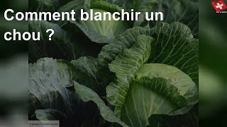 Comment blanchir un chou [upl. by Micro]