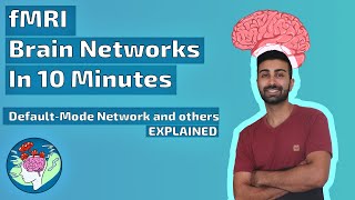 fMRI Brain Networks in 10 Minutes  DefaultMode Network and Others Explained [upl. by Esiuqcaj]