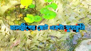 Maldives  মালদ্বীপের ছোট একটা ফুসকুনি [upl. by Viole]