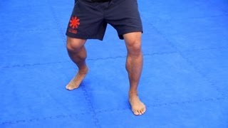 5 Footwork Basics  MMA Fighting [upl. by Fai263]