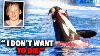 The Horrifying Last Moments of Seaworld Trainer Keltie Byrne [upl. by Heidt]