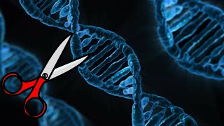 Gene Editing Technology  ZFNs TALENs CRISPRCas9 [upl. by Alita]