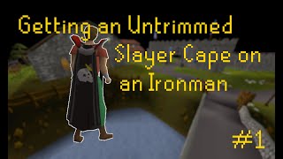 Untrimmed Slayer Cape  In Medias Res 1 [upl. by Farrica]