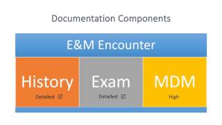 Effective EampM Documentation [upl. by Tchao81]