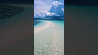 Sandbar of Kalanggaman Island Palompon Leyte Philippines [upl. by Aloke]