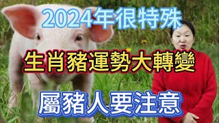 2024年很特殊！生肖豬運勢大變！屬豬人2024年運勢運程大揭秘！生肖豬2024年運勢解析！屬相豬必看！生肖 運勢 佛教 [upl. by Aihsekyw]