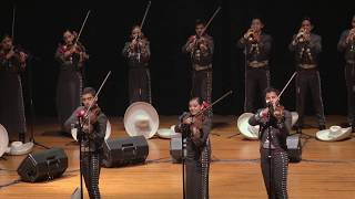 Sharyland Pioneer High School Mariachi Diamante Rojo UIL State Competition 2017 [upl. by Llien]