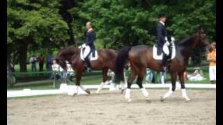 Pfingstturnier Wiesbaden 2010 Hyperflexion Rollkur Dressage [upl. by Drarrej545]