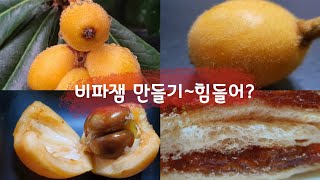 잼 만들기 힘들어비파나무Loquat tree비파잼 만들기Making loquat jam비파 손질은 힘들어요 [upl. by Mcnamee]