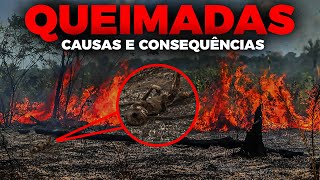 AS QUEIMADAS NO BRASIL  CAUSAS IMPACTOS E CONSEQUÊNCIAS DESSAS QUEIMADAS [upl. by Lanrev702]