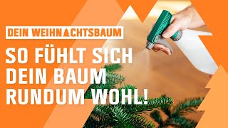 Weihnachtsbaum aufstellen und versorgen  OBI  Dein Weihnachtsbaum  Folge 3 [upl. by Moseley]