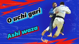 O  uchi  gari  Variations and Combinations [upl. by Jimmy422]