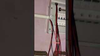 MCB Box Fitting electricalwork viralvideo electrician ytshorts homeelectrical JkElectrician [upl. by Arta550]