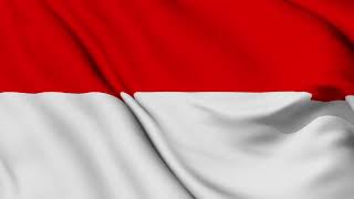 Bendera Indonesia Berkibar  after effect  Animasi Bendera Indonesia HD Video Background [upl. by Burbank]