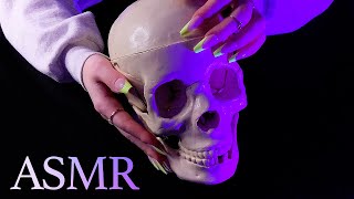 ASMR Tapping and Scratching Your Skull 💀 [upl. by Urion41]