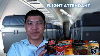 ASMR Flight Attendant Roleplay [upl. by Riada]