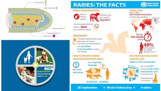 Rabies  its types and diagnosis NATIONAL guidelines of Nepal student to student series [upl. by Healion]