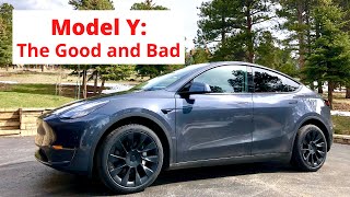 Model Y The Good and Bad [upl. by Aened]