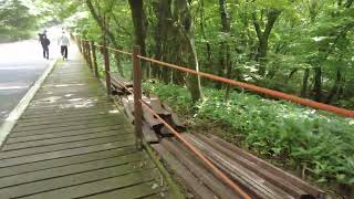 4K Scaling Of Hallasan Mountain Along The Eorimok Hiking Trail JejuDo South Korea Part I [upl. by Enrobialc280]