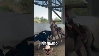 Coleando a la Lola 🤠👀 charreria tradicion mexico viral [upl. by Henry277]