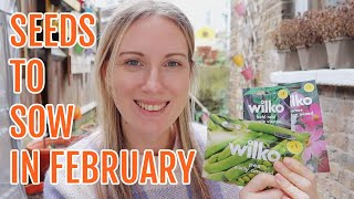 SEEDS TO SOW IN FEBRUARY 2024  ALLOTMENT GARDENING FOR BEGINNERS [upl. by Yentroc657]