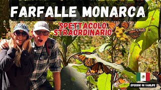 ‼️SANTUARIO delle FARFALLE MONARCA 🦋esperienza UNICA 4K🚐DallItalia al Messico con il nostro van [upl. by Xel489]