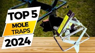 Top 5 Best Mole Traps  Ultimate Buying Guide [upl. by Aicnom]