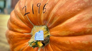 Barnesville Giant Pumpkin Parade 2024 [upl. by Ydissac]