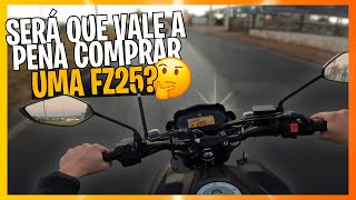 3 VANTAGENS E AS 3 DESVANTAGENS DE TER UMA FZ25 [upl. by Nealson871]