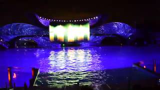 Shamu Christmas Miracles  SeaWorld Orlando [upl. by Lukash]