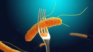 Understanding Salmonellosis and its Medical Implications 3 MInutes [upl. by Jehiah]