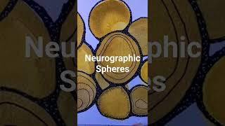 What is NEUROGRAPHIC ART See Link Below for full TUTORIAL [upl. by Nytsua]