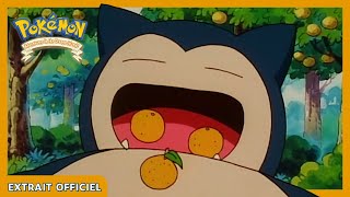 Ronflex dévore tout sur son passage   Pokémon  Les Îles Orange  Extrait officiel [upl. by Niemad]