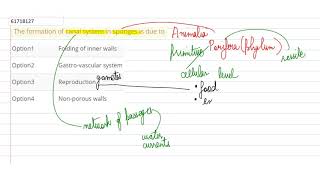 The formation of canal system in sponges is due to [upl. by Nelehyram359]