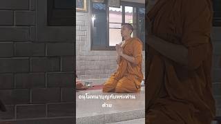 Mew leaving Chiang Mai monastery mewsuppasit mewlions trending viralvideo shortvideo [upl. by Euqinad]