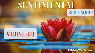 VERSEAU 🫶🏻 SENTIMENTAL SEPTEMBRE 2024  Une proposition perturbante  🌊 [upl. by Patrizius]