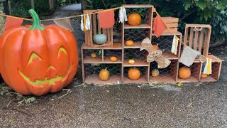 Chester Zoo Giant Halloween Pumpkin Trail October 2024 [upl. by Elissa]